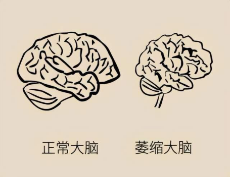 &#74;&#68;&#66;&#40;&#20013;&#22269;&#30005;&#23376;&#41;&#23448;&#26041;&#32593;&#31449;&#95;&#74;&#68;&#66;